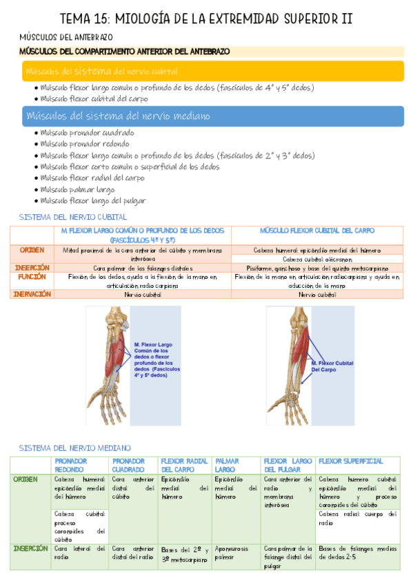 TEMA-15.pdf