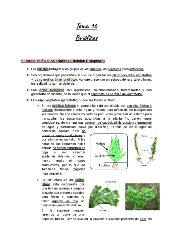 Apuntes-Tema-16-Botanica-I-Briofitos.pdf