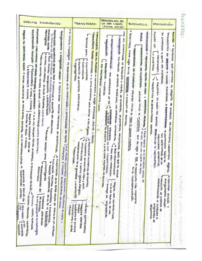 4.2-Tabla-de-fitohormonas-segundo-parcial.pdf