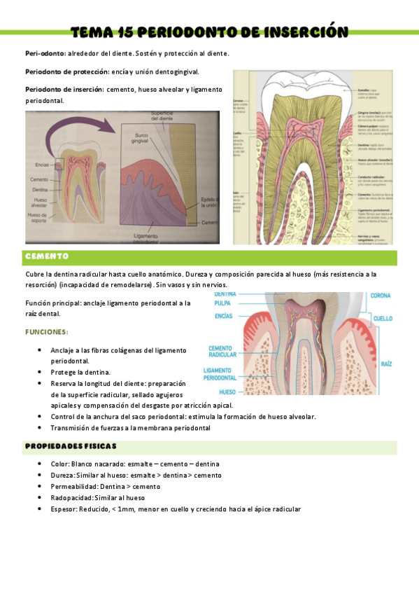 HISTOLOGIA-T15.pdf