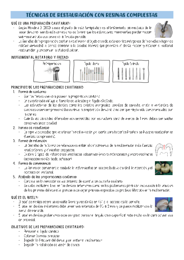 Tecnicas-de-restauracion-con-resinas-compuestas-directas.pdf