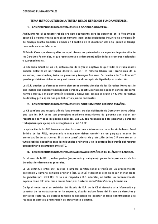 TEMA-INTRO-DERECHOS-FUNDAMENTALES.pdf