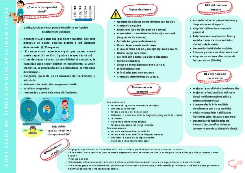 Discapacidad-visual.pdf