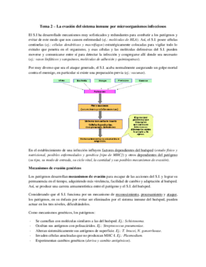 Tema 2 - Evasión del SI.pdf