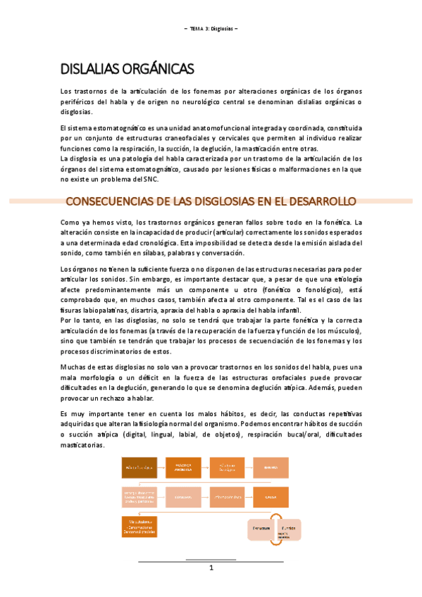 T.3 (Disglosias) - INT. HABLA Y FONV.pdf