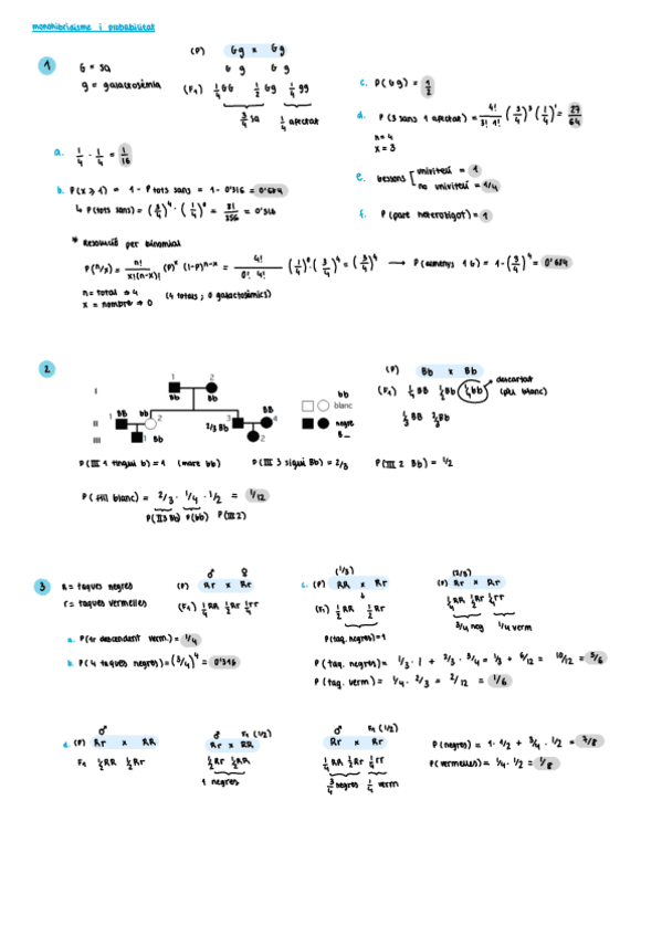resolucio-problemes.pdf