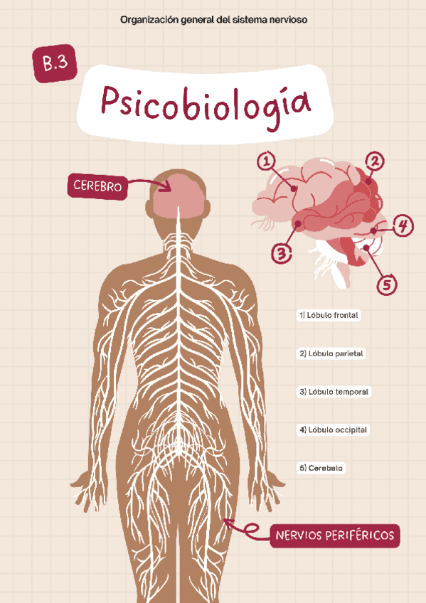 Bloque-3.pdf