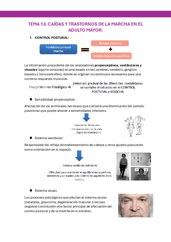 TEMA-13-GERIATRIA.pdf