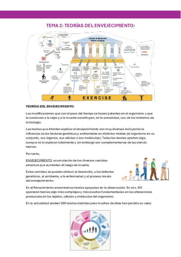 TEMA-2-GERIATRIA.pdf