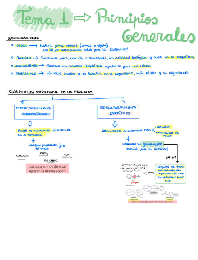 TEMA-1-PRINCIPIOS-GENERALES.pdf