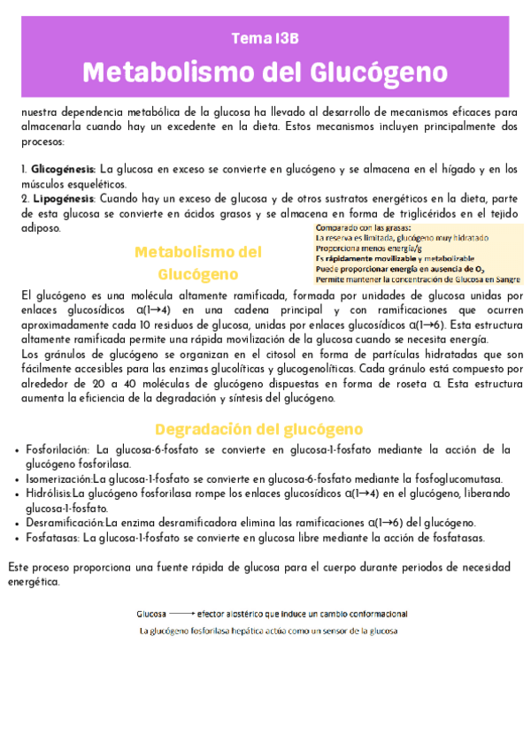 Tema-13B-resumido.pdf