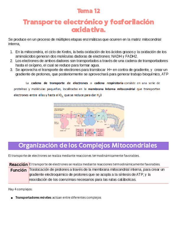 tema-12-resumido.pdf