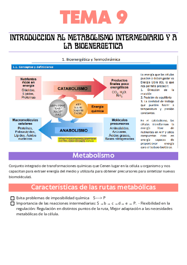 tema-9-bioquimica-resumido.pdf