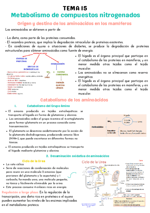 tema-15-resumido.pdf