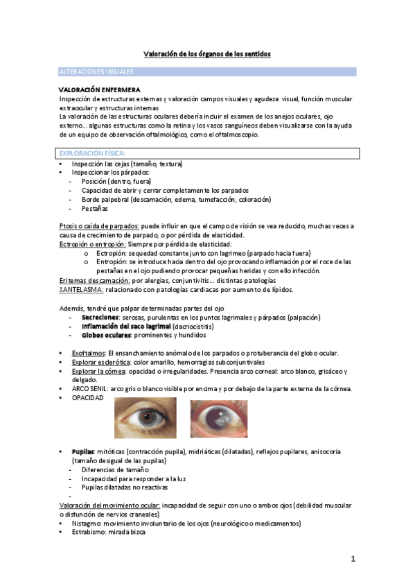 8.-Valoracion-de-los-organos-de-los-sentidos.pdf