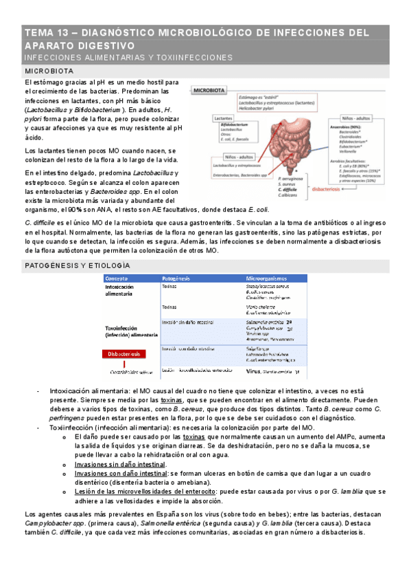 METODOS-DE-DIAGNOSTICO-TEMA-13.pdf