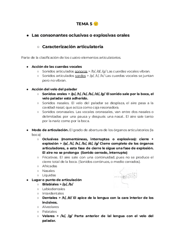 TEMA-5-CONSONANTES-OCLUSIVA-O-EXPLOSIVAS-ORALES.pdf