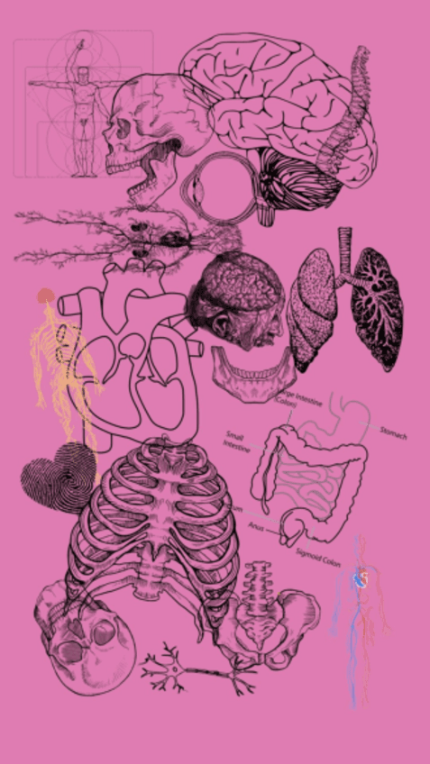 Apuntes-Nomenclatura-Quimica-Organica-2.pdf