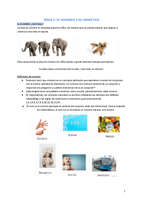 TEMA-5-EL-NUMERO-Y-SU-DIDACTICA.pdf