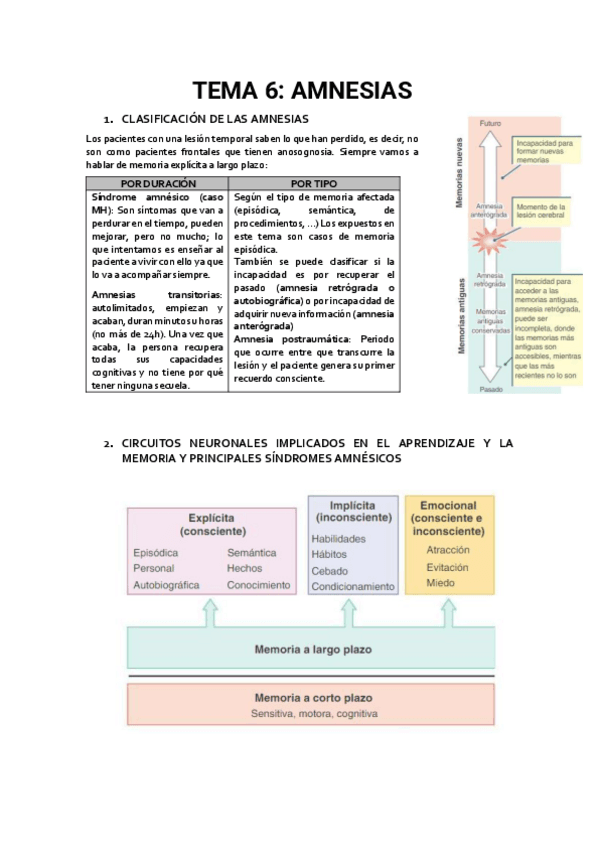 TEMA-6.-NP.pdf
