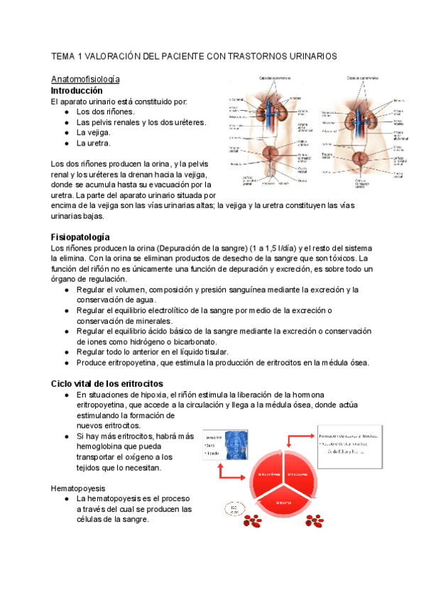 Tema-1-Cuidados-3.pdf