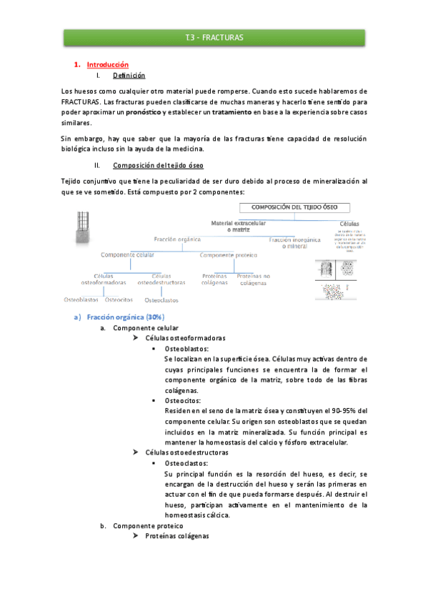T.3-Fracturas.pdf