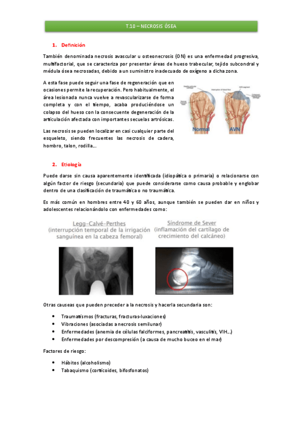 T.10-Necrosis-osea.pdf