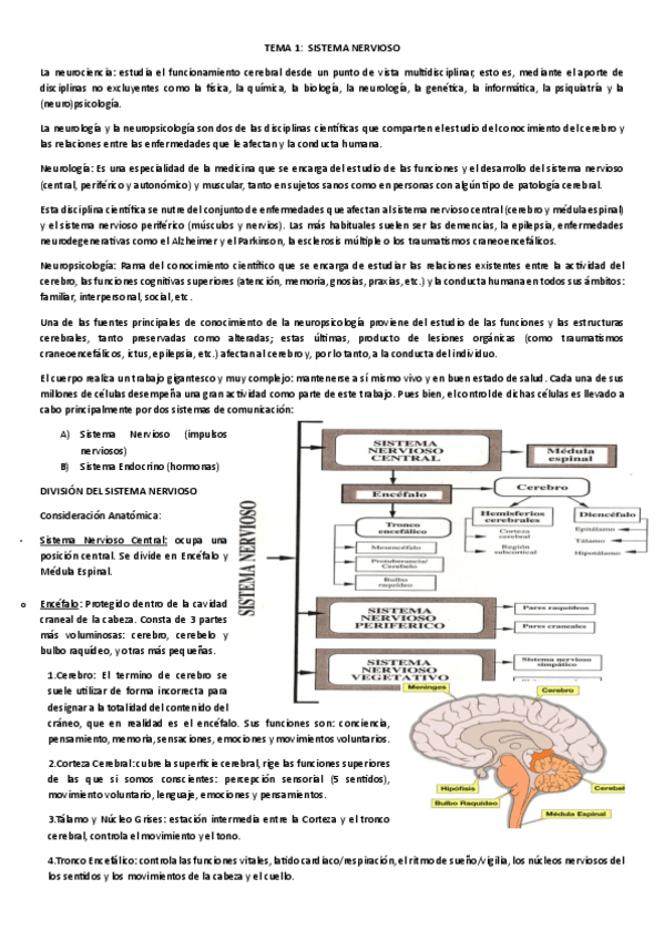 TEMARIO-ADULTOS-II-COMPLETO.pdf
