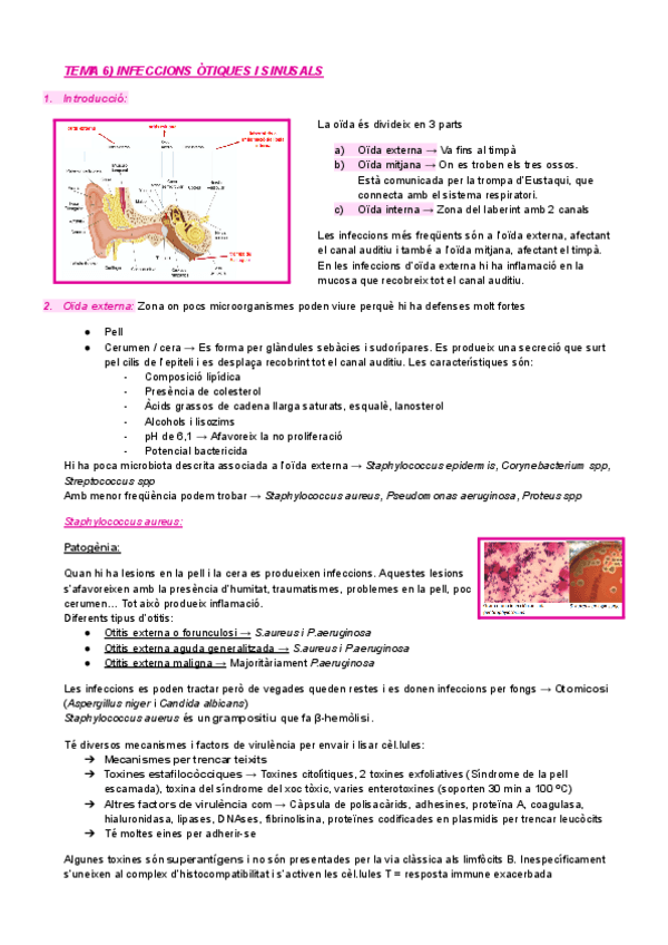 tema-6-micro-clinica.pdf
