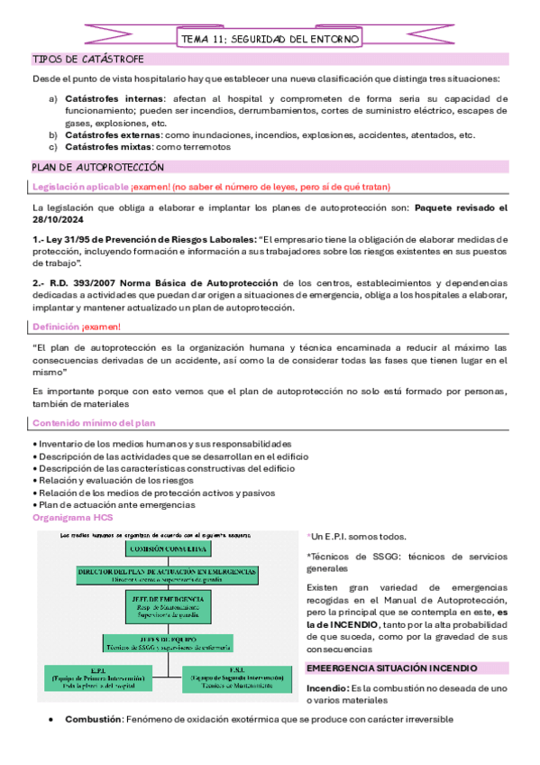 T11.-Seguridad-en-el-entorno.pdf