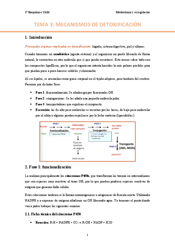 TEMA-3.-Mecanismos-de-detoxificacion..pdf