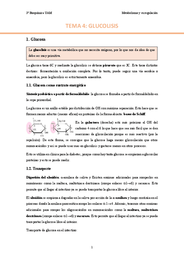TEMA-4.-Glucolisis..pdf