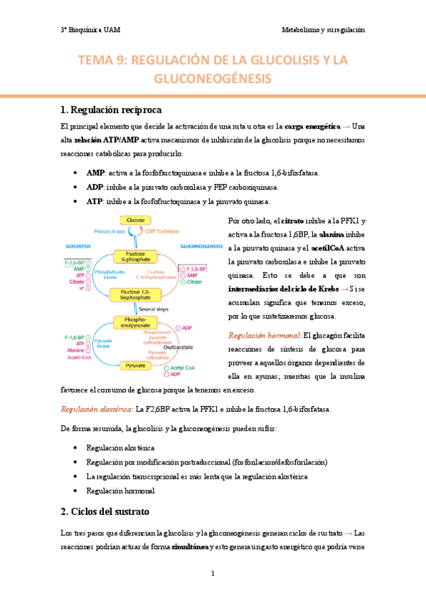 TEMA-9.-Regulacion-de-la-glucolisis-y-la-gluconeogenesis..pdf