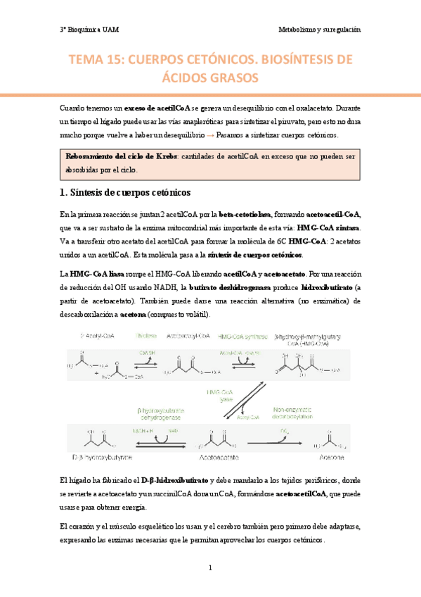TEMA-15.-Cuerpos-cetonicos.-Biosintesis-de-acidos-grasos..pdf