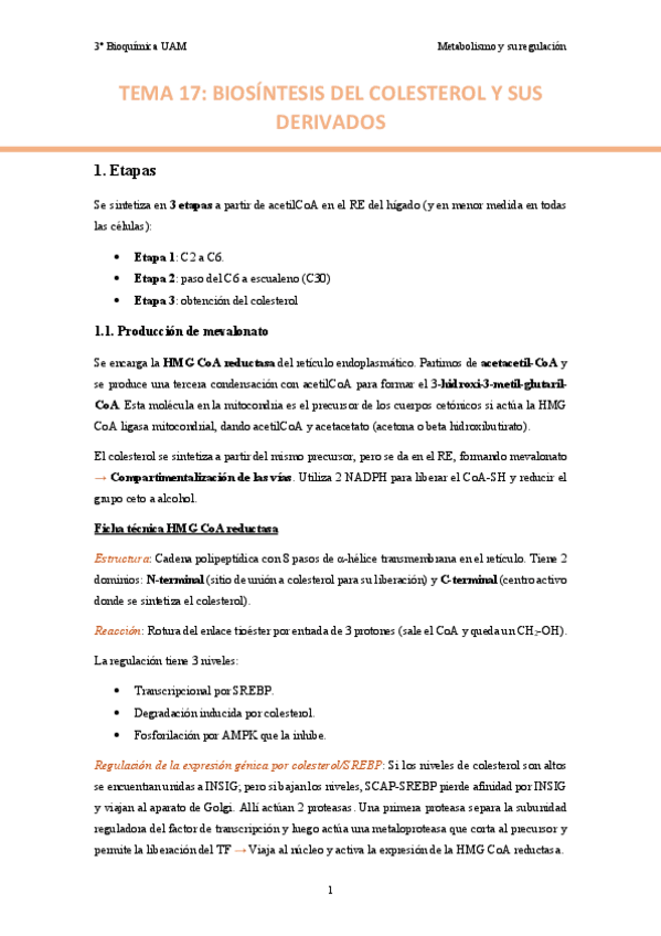 TEMA-17.-Biosintesis-de-colesterol-y-sus-precursores..pdf