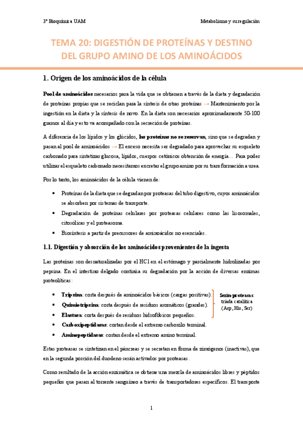 TEMA-20.-Digestion-de-proteinas-y-destino-del-grupo-amino-de-los-aminoacidos..pdf