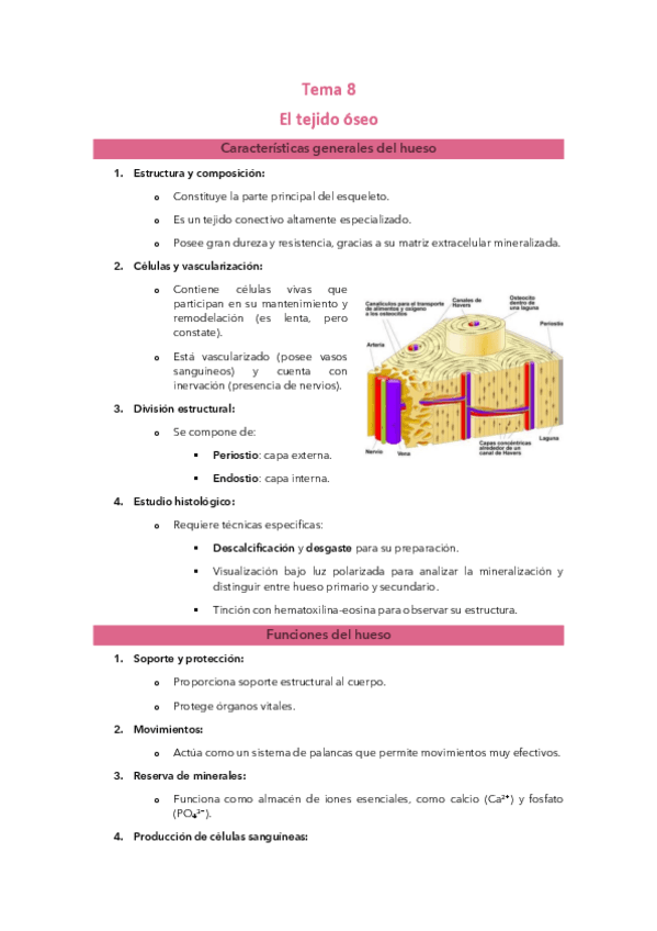 Tema 8: El tejido óseo.pdf