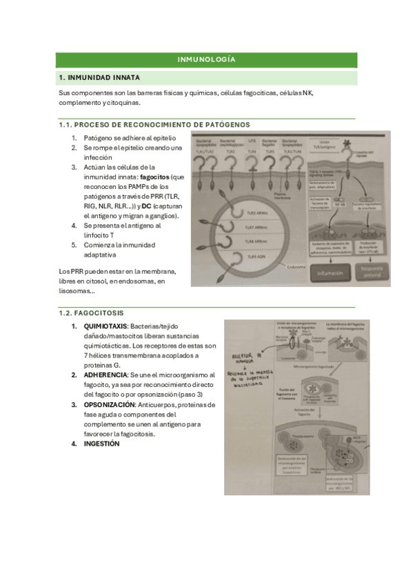 RESUMEN-TEMARIO-INMUNOLOGIA.pdf