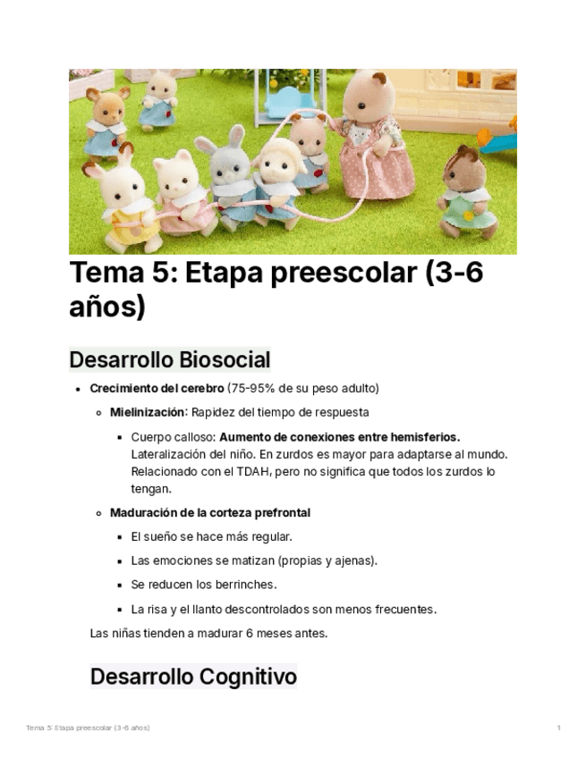 Tema-5-Etapa-preescolar.pdf