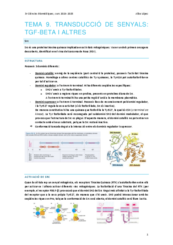 Tema-9.-Transduccio-de-senyal-TGFbeta-i-altres.pdf