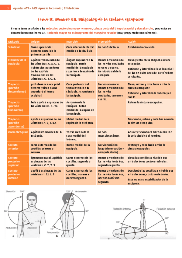 tema-18-ap-locomotor.pdf