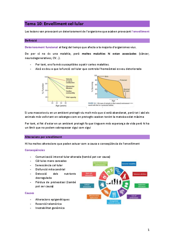 T10-PCM-envelliment-cellular.pdf