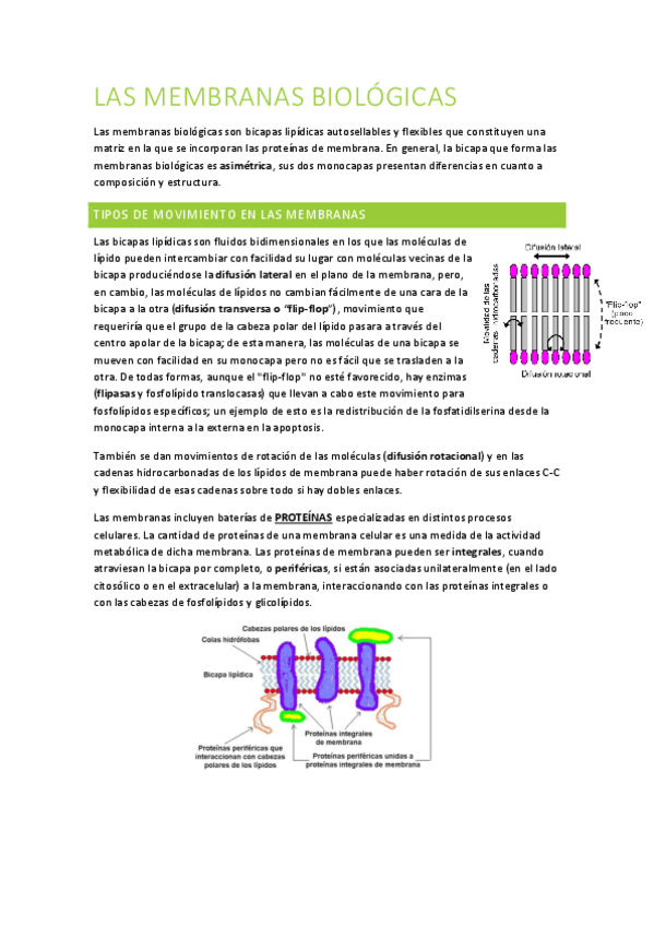 TEMA-4-MEMBRANAS-BIOLOGICAS.pdf