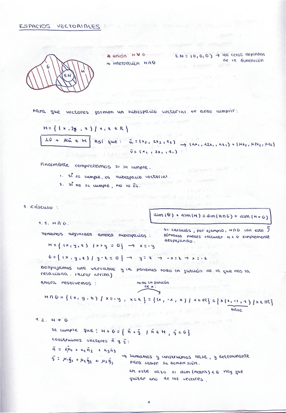 Espacios-Vectoriales-y-Aplicaciones-lineales-apuntes.pdf