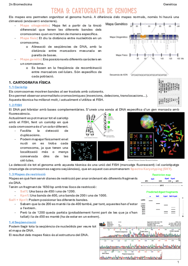 T9-Cartografia-de-genomes.pdf