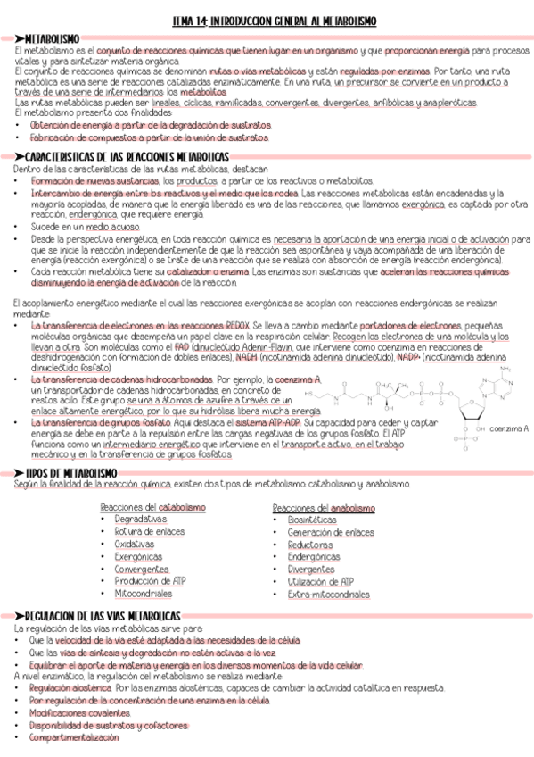 TEMA-14.-Resumen.pdf
