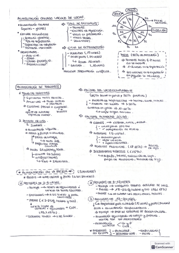 resumen-parcial-2.pdf