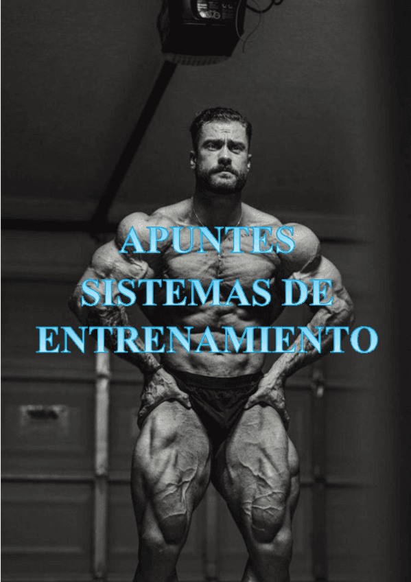 APUNTES-SISTEMAS-DE-ENTRENAMIENTO-2024-2025.pdf