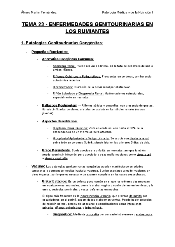 TEMA-23-ENFERMEDADES-GENITOURINARIAS-EN-LOS-RUMIANTES.pdf