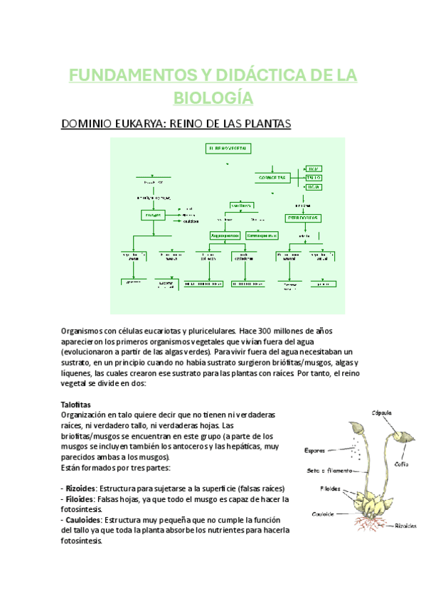TEMA-6-PLANTAS-BIOLOGIA.pdf